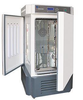 ǿ����������䣨������գ�