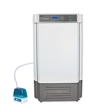 �˹�����������