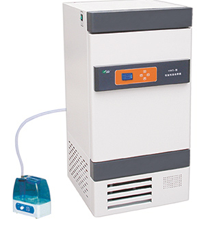 ���º�ʪ������